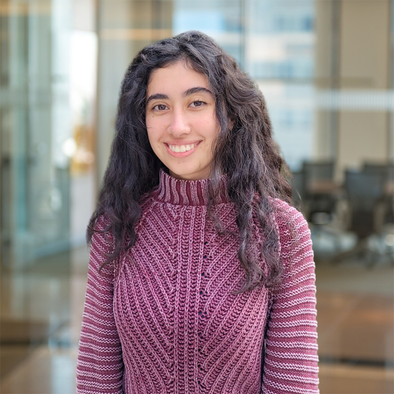 Ambiental – Cecilia Fuentes