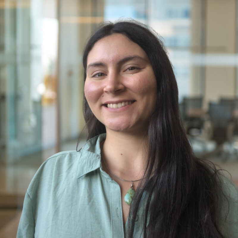 Hidráulica – Antonia Cozzi